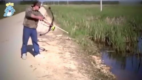 钓鱼吃瓜的视频,揭秘钓鱼与吃瓜的趣味生活