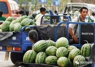 海门理想城吃瓜,吃瓜群众揭秘社区生活点滴