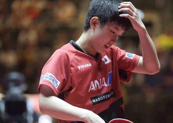 张本智和吃大头瓜,赛场趣事引发网友热议