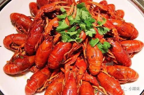 吃瓜八卦龙虾