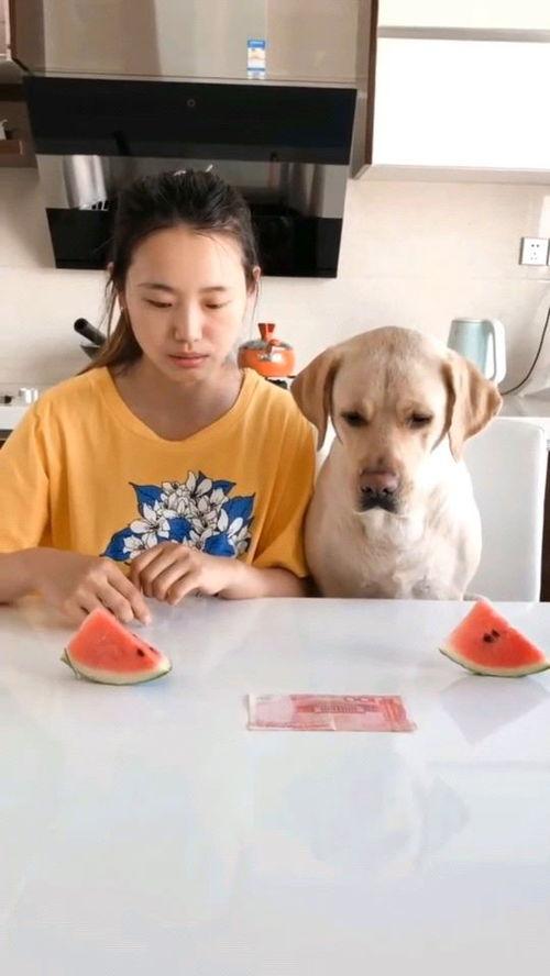 幸运吃瓜比赛视频