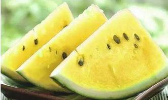 吃货的大瓜,一场美食盛宴背后的风云涌动