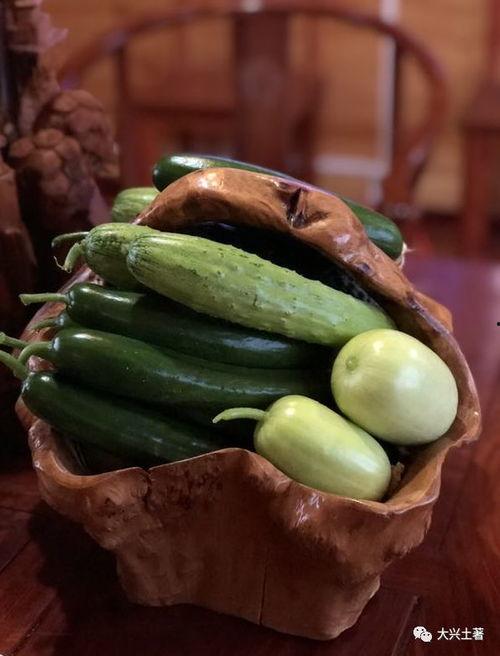 盐城大网红吃瓜