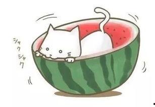 吃饭碰到吃瓜,舌尖上的欢乐时光