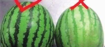 悄悄吃瓜后续,揭秘娱乐圈风云再起