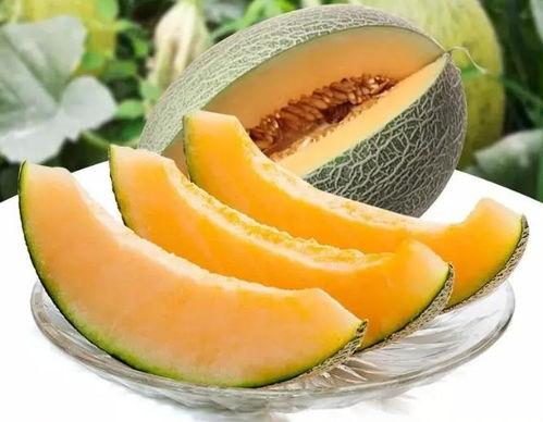 瓜州吃的瓜是什么瓜,探寻瓜州所吃的瓜之谜