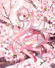 二次元的暖樱酱吃瓜