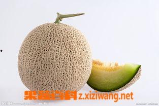 怀孕吃蜜瓜吐了,揭秘孕妈饮食小贴士