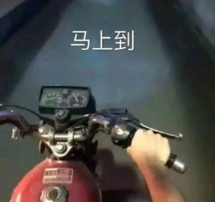 圈内爆料每天吃瓜,瓜田里的新鲜事