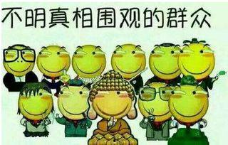 吃瓜群众009,网络红人的崛起与影响力