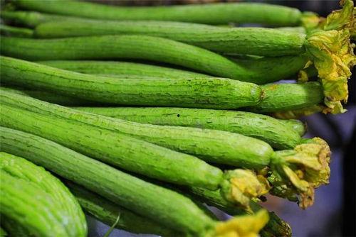 嫩草吃瓜在线观看