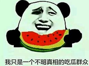 吃瓜群众卢先生,揭秘娱乐圈幕后故事