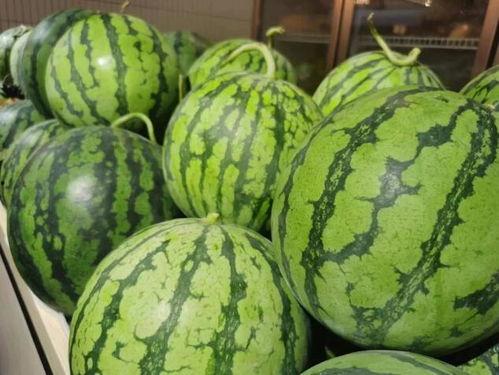 流夕吃瓜,揭秘娱乐圈那些不为人知的幕后故事