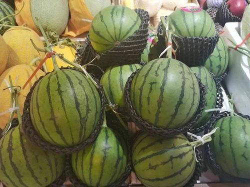 流夕吃瓜,揭秘娱乐圈那些不为人知的幕后故事