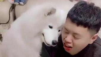 吃瓜狼上海,揭秘这座魔都的美食江湖