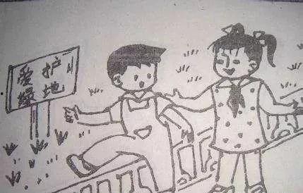 瓜园里吃瓜的看图写话