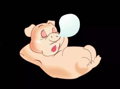 吃瓜直播猪,揭秘网络直播界的“猪界网红”