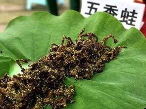 蓝荷吃瓜,揭秘娱乐圈幕后故事