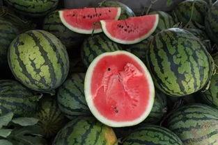 吃瓜的包,一场关于美食与生活的趣味之旅