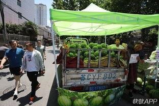 吃瓜群众改行卖瓜了,一场身份转变的奇妙之旅