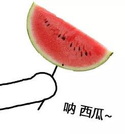 吃货吃大白瓜视频大全,吃货带你领略大白瓜视频大全