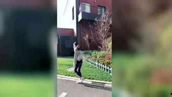 吃瓜神探用刑,揭秘案件背后的真相与智慧