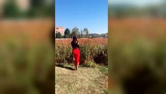 吃瓜神探用刑,揭秘案件背后的真相与智慧