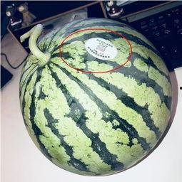 徐州吃瓜网红,带你领略美食江湖风云