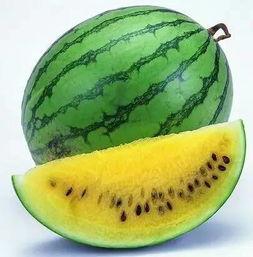 全网吃瓜的中石油,全网吃瓜背后的行业风云