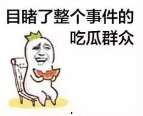 淘宝吃瓜群众,揭秘网购江湖的幕后故事