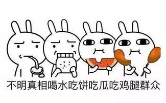 吃瓜群众的总结,吃瓜群众视角下的娱乐圈风云录