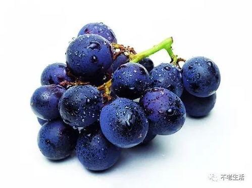 葡萄瓜怎么吃最好,葡萄瓜的多样美味食用指南