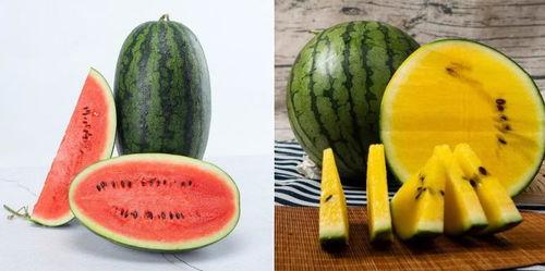 丽贤吃瓜,揭秘娱乐圈幕后故事