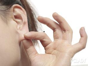 吃土耳瓜过敏吗,食用安全与过敏风险