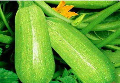 吃茭瓜过敏,警惕这种常见蔬菜背后的风险