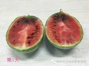 如何成为吃瓜达人,如何轻松成为娱乐圈焦点观察者