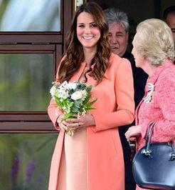 凯特王妃吃瓜总结,揭秘王室生活的点滴趣味