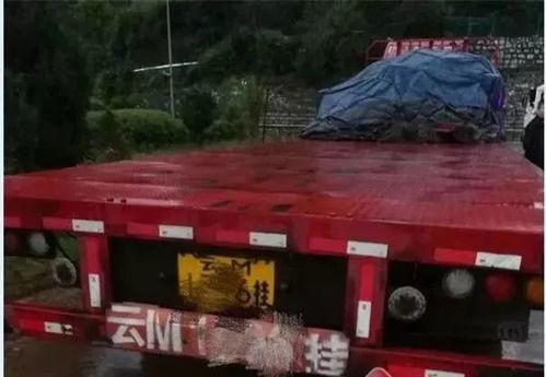 吃瓜群众开大货车,揭秘货车司机的生活日常