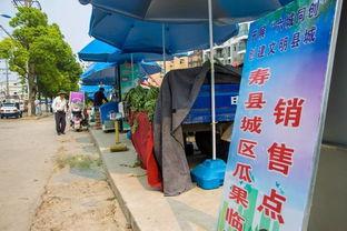 吃瓜群众开大货车,揭秘货车司机的生活日常