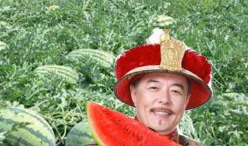 在路上吃瓜视频,揭秘路上吃瓜的趣味瞬间