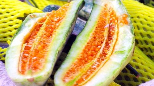 云木吃瓜应用,解锁全新社交娱乐体验