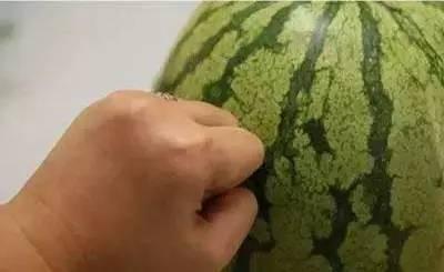 吃瓜发黄能吃吗,还能安心食用吗？揭秘瓜果变质的真相