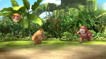 熊熊瓜吃的,熊熊瓜的奇幻美食之旅