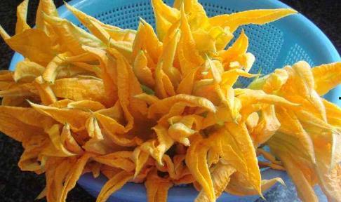 吃瓜河池,一场别开生面的美食之旅