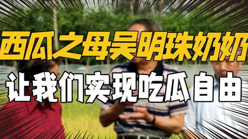 吃米莫忘袁隆平吃瓜,吃米不忘种粮人，瓜田里话丰收