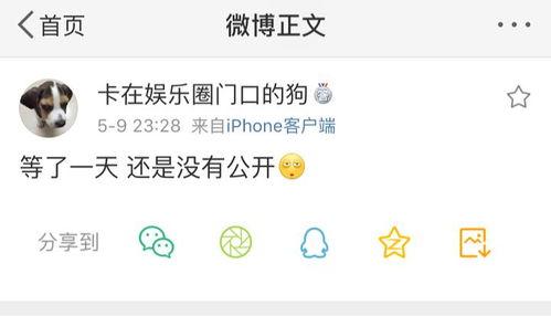 吃瓜爆料使者是谁,揭秘娱乐圈幕后真相的神秘人物