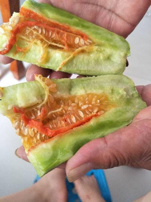 吃瓜黄色料,吃瓜群众眼中的明星黄色料大揭秘