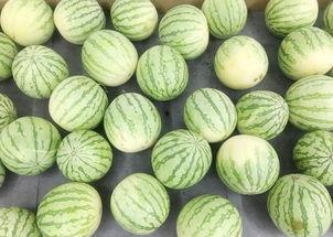 吃瓜我想静静,吃瓜群众静享宁静时光