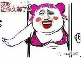 吃瓜我想静静,吃瓜群众静享宁静时光