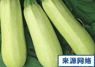 孕期吃西葫芦瓜,西葫芦瓜的营养价值与食用建议